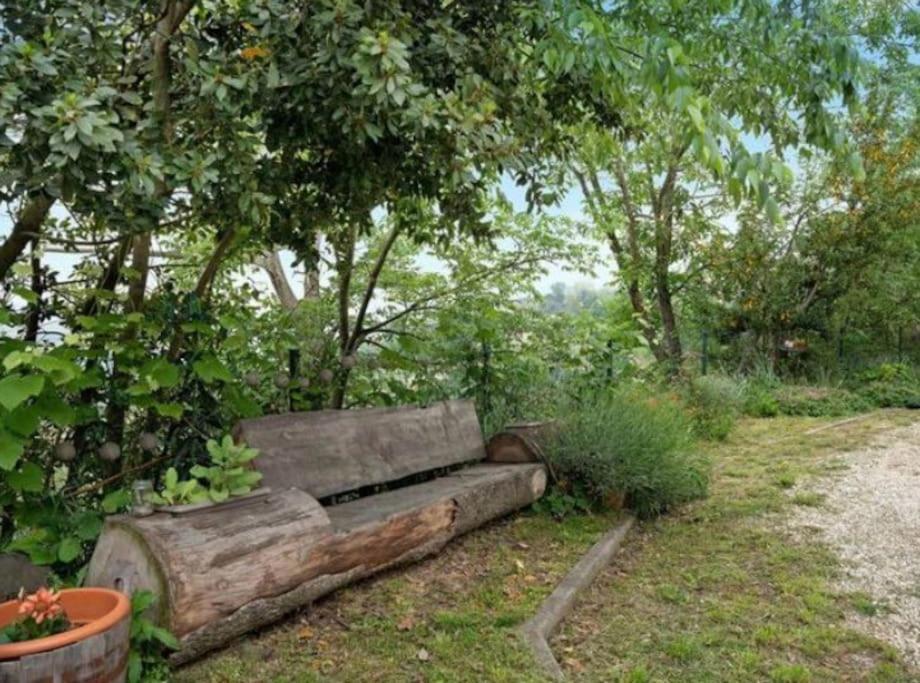 La Casa Rosa Appartement Piobesi d'Alba Buitenkant foto